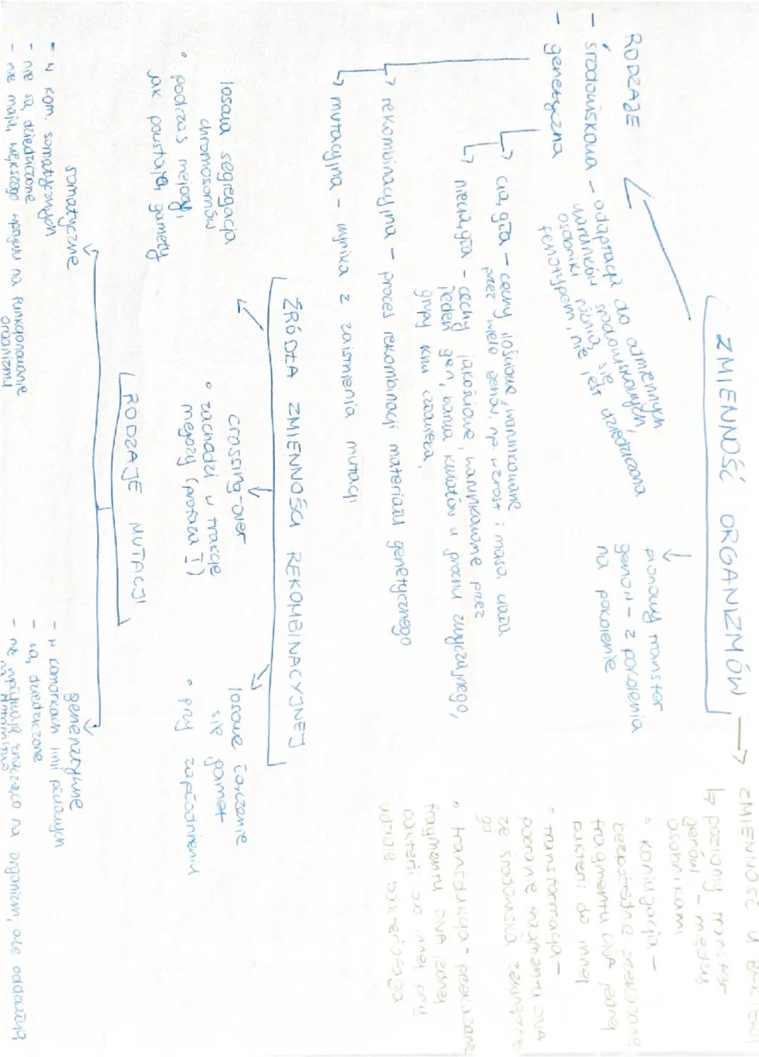 0
0
PRZYCZYNY
MUTACJI
spontaniczne - pojawiają
ie przez biedy zamodzące
podczas replikagi
DNA
indukowane - sa, my way-
wane czynnikami fizyc