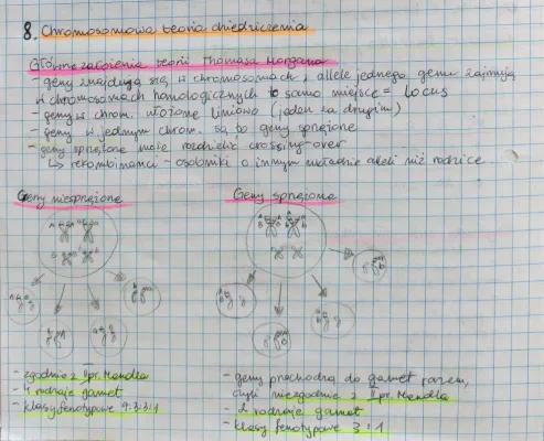 Know Chromosomowa teoria dziedziczenia thumbnail
