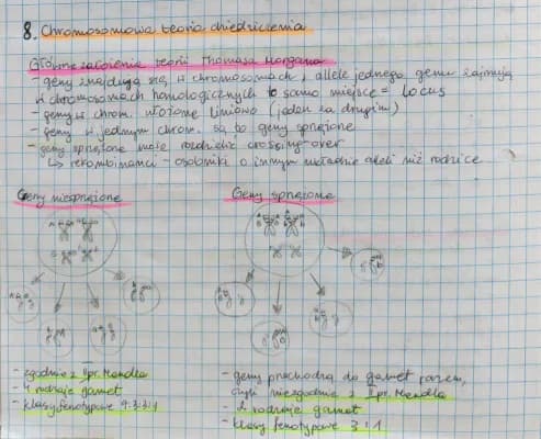 Know Chromosomowa teoria dziedziczenia thumbnail