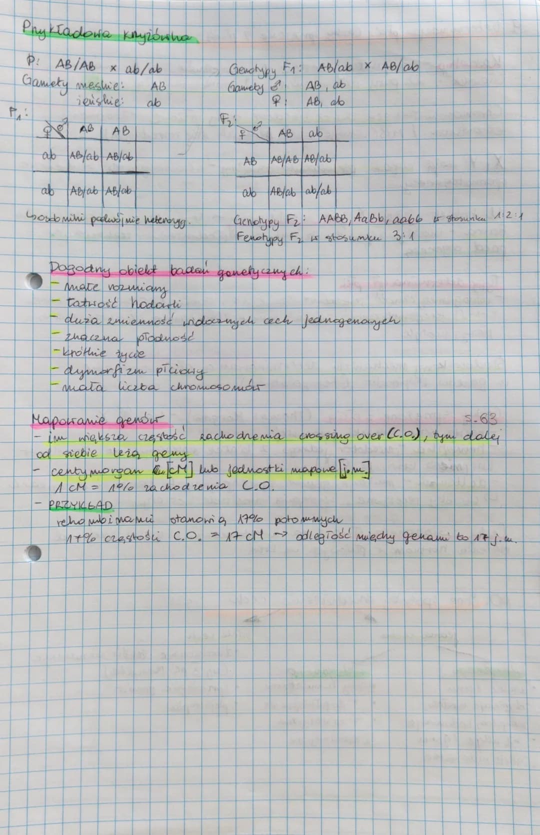 8. Chromosomowa teono chiedriczenia
Głowne założenia teori Thomasa Morgana
- geny majdują się w chromosomach,
in chromosomach homologicznych