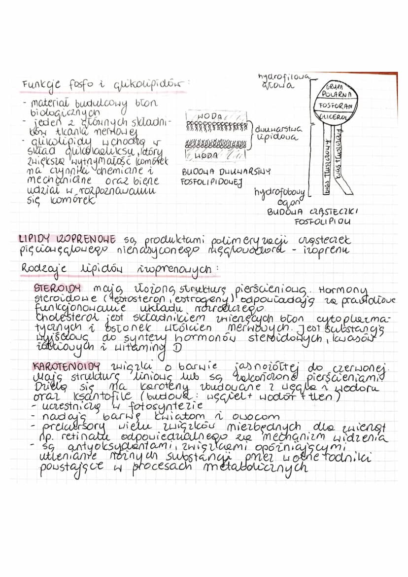 LIPIDY
LIPIDY (HUSZCZONCE) SQ, zróżnicowana grupa związków organicznych
się Hodori tlenu.
gestoscy od gostosa nody, awatego utrzymują sinigs