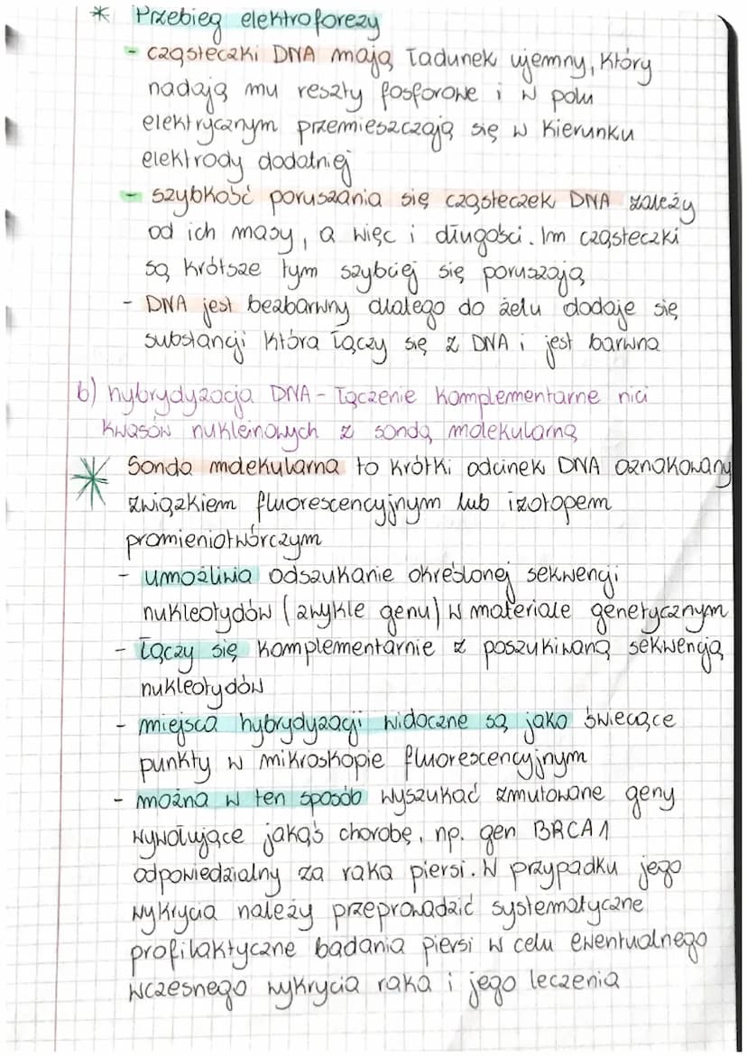 1
LEKCJA
Temat: PODSTAWOWE NARZĘDZIA I TECHNIKI INGYNIERII
GENETYCZNEY.
Ⓒinżynieris genecyesha - dziedzina nauki, która zajmuje
się opracowy