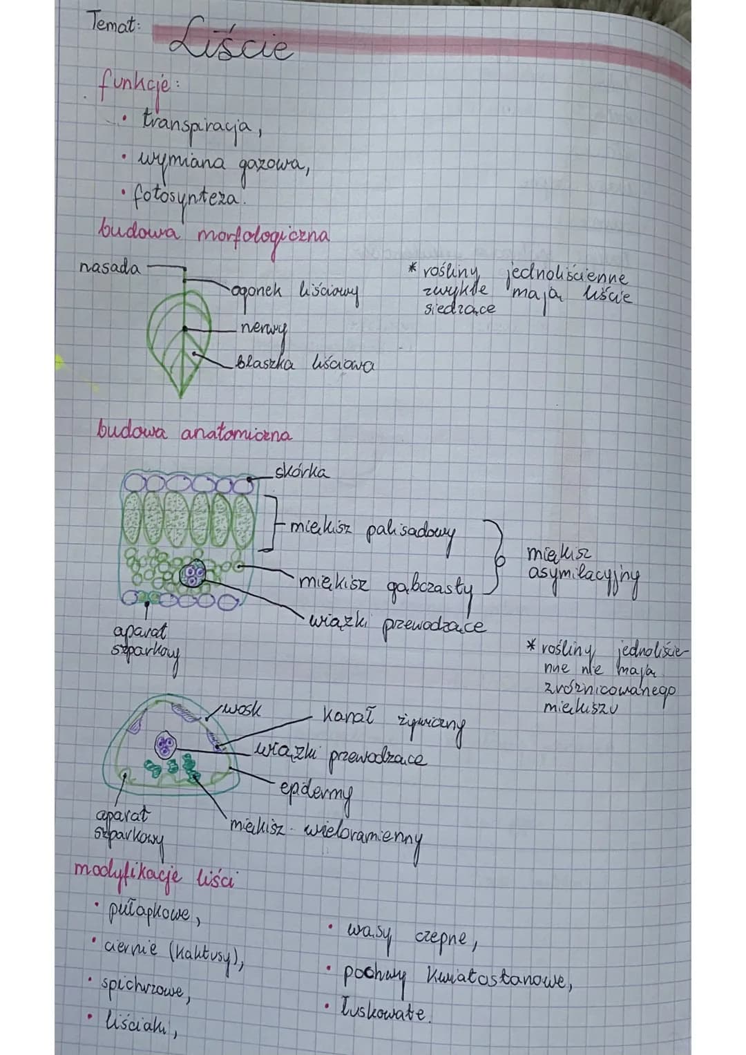 Temat: Liście
funkcje.
transpiracja,
wymiana gazowa,
• fotosynteza
•
.
.
budowa
nasada
22
morfologiczna
budowa anatomiczna
aparat
sparkary
-