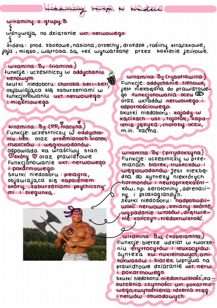 WITAMINY
L> TO zw.org., których organizm nie wytwarza lub które wytwarza w.
minimalnej niewystarczającej ilości. Nie pernia, funkcji budulco