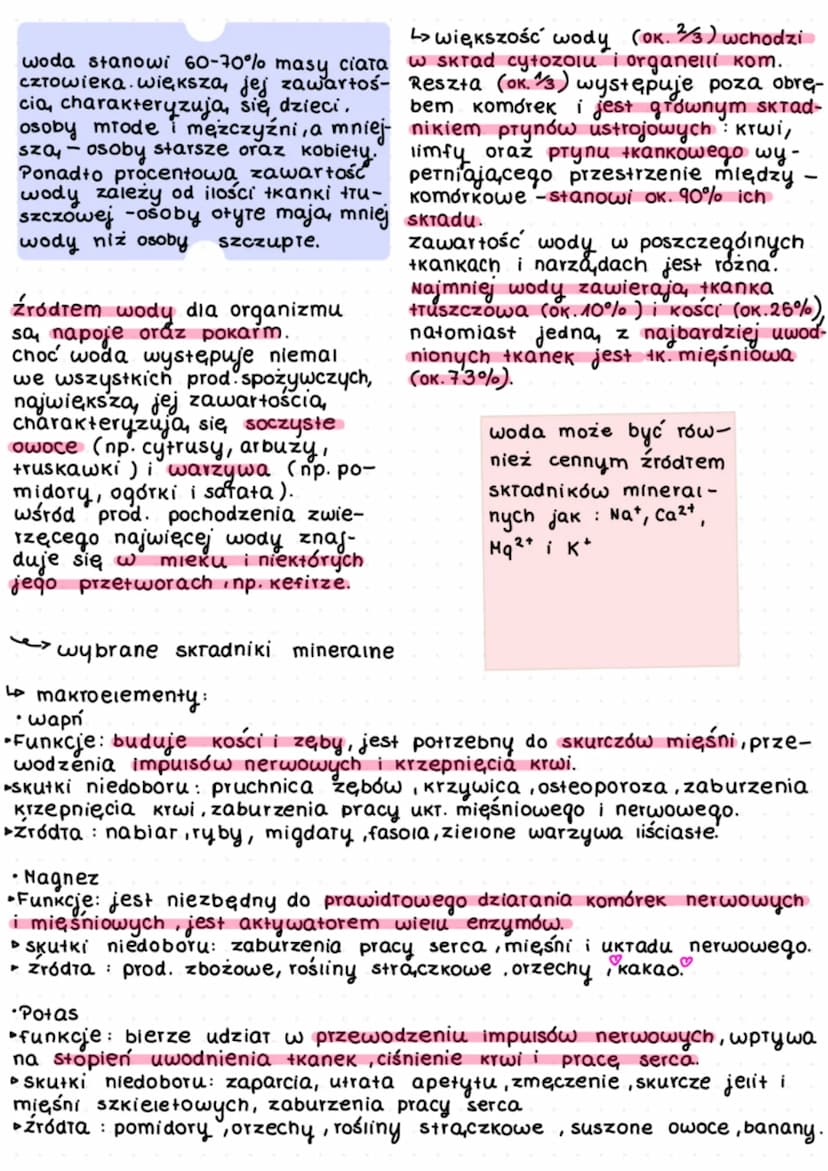 WITAMINY
L> TO zw.org., których organizm nie wytwarza lub które wytwarza w.
minimalnej niewystarczającej ilości. Nie pernia, funkcji budulco