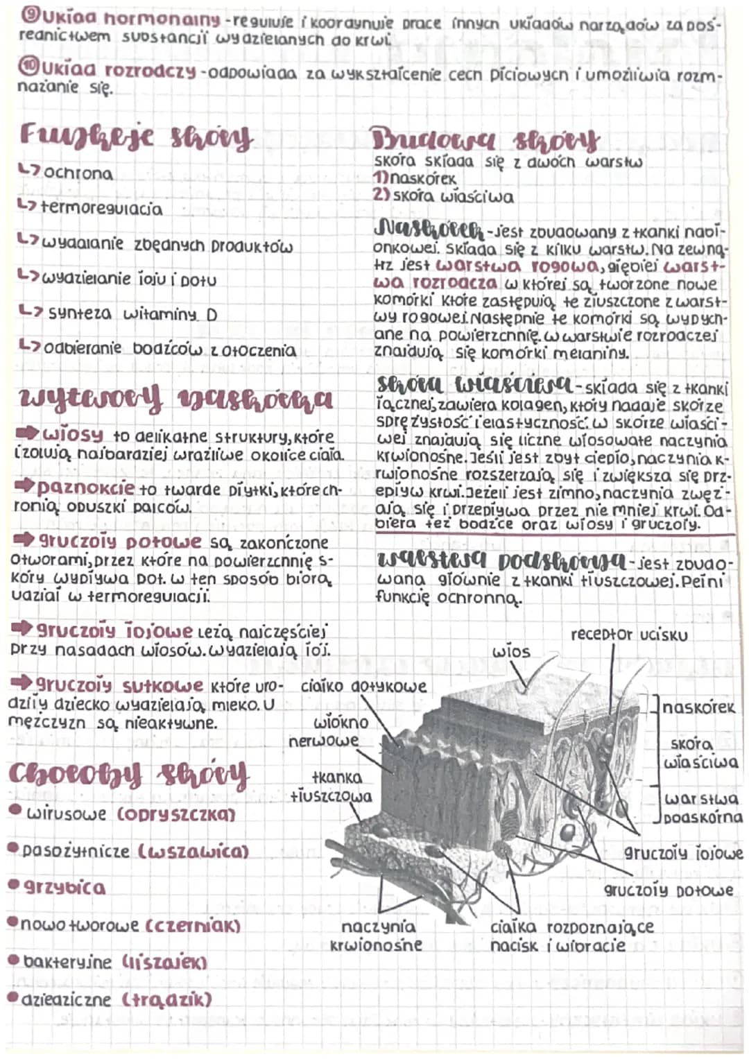 biologia
Rodzaje Cerausch zwierzęcych
erayha miesiziowa Jest zouaowana z elementów, które Kurczą się ir-
Ozkur czają. Umożliwia przemieszcza