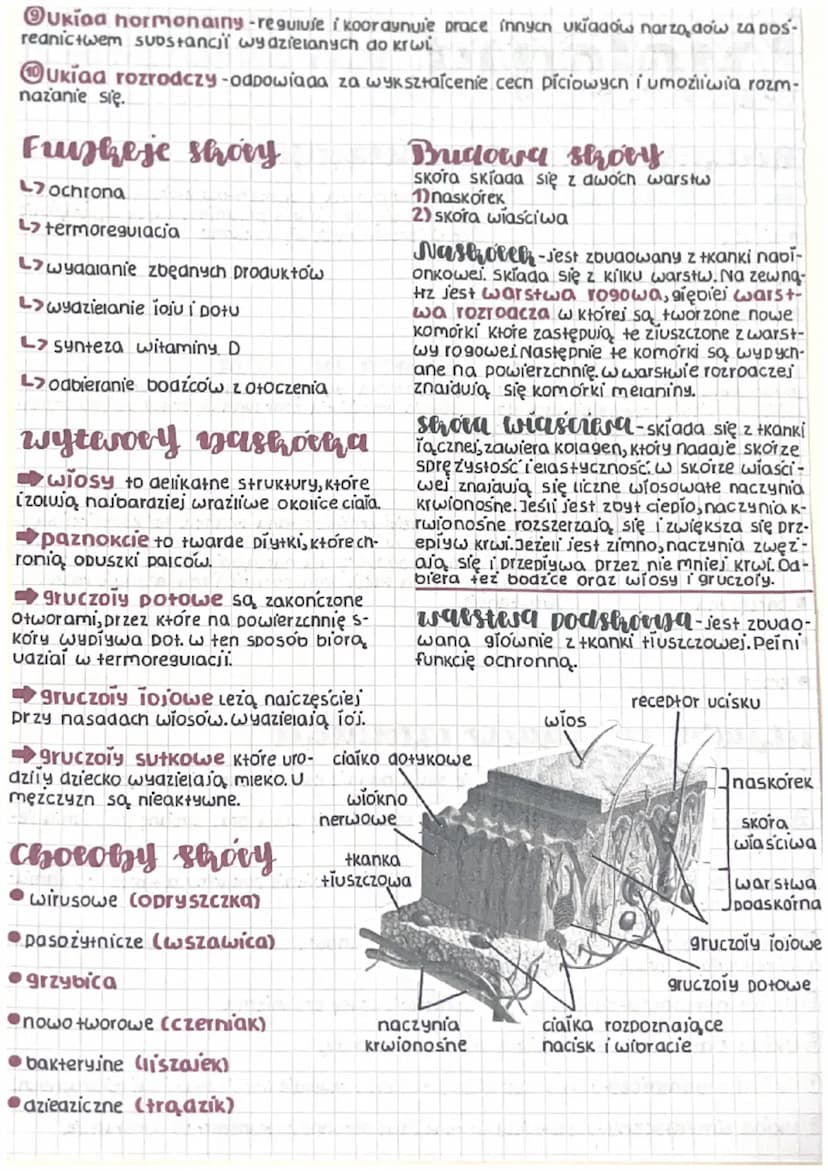 biologia
Rodzaje Cerausch zwierzęcych
erayha miesiziowa Jest zouaowana z elementów, które Kurczą się ir-
Ozkur czają. Umożliwia przemieszcza