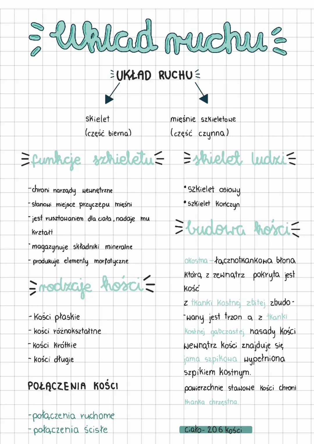 Układ ruchu