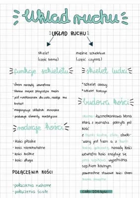 Know Układ ruchu thumbnail