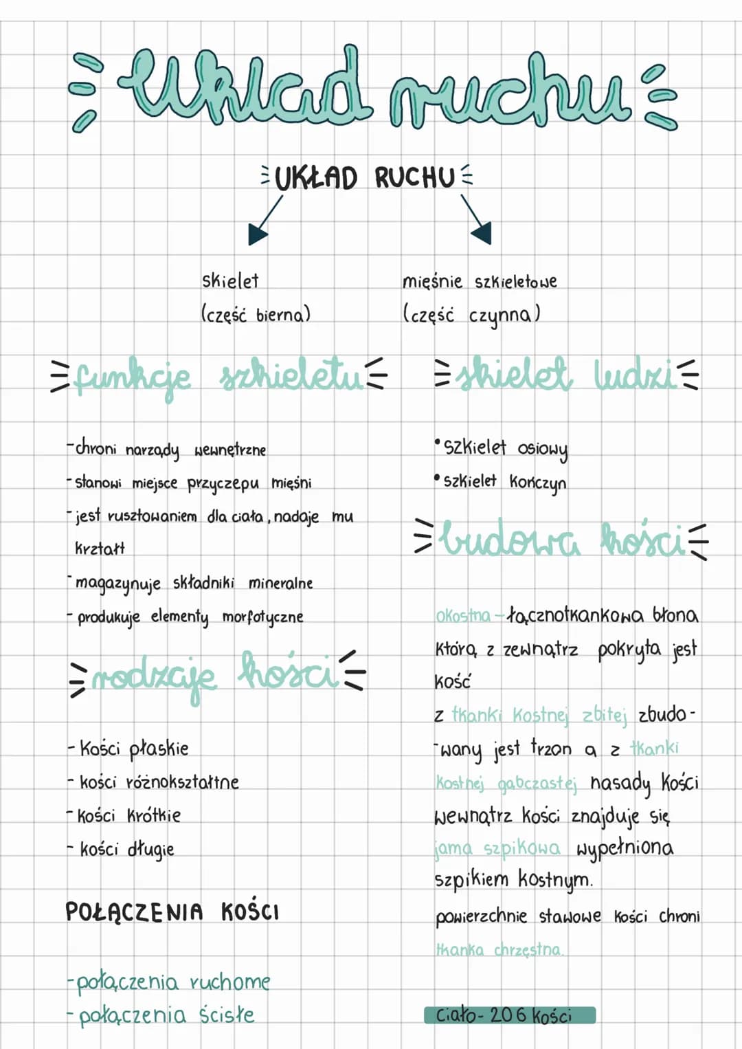 Uklad ruchu:
▶
UKŁAD RUCHU
skielet
(część bierna)
mięśnie szkieletowe
(część czynna)
= funkcje szkieletu = = shielet ludzi
-chroni narządy w
