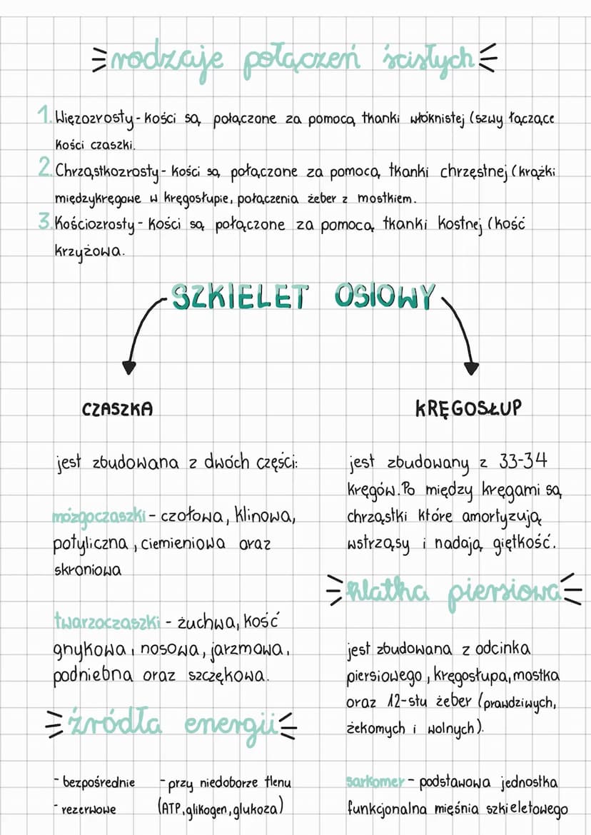 Uklad ruchu:
▶
UKŁAD RUCHU
skielet
(część bierna)
mięśnie szkieletowe
(część czynna)
= funkcje szkieletu = = shielet ludzi
-chroni narządy w
