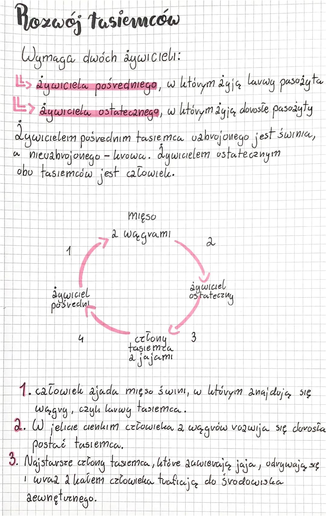 biologia
płazivice
Płazińce to awierzęta, któve veają zudwyday długie
i płaskie dato.
2decydowana większość płazińców to pasożyty,
ktove żyj