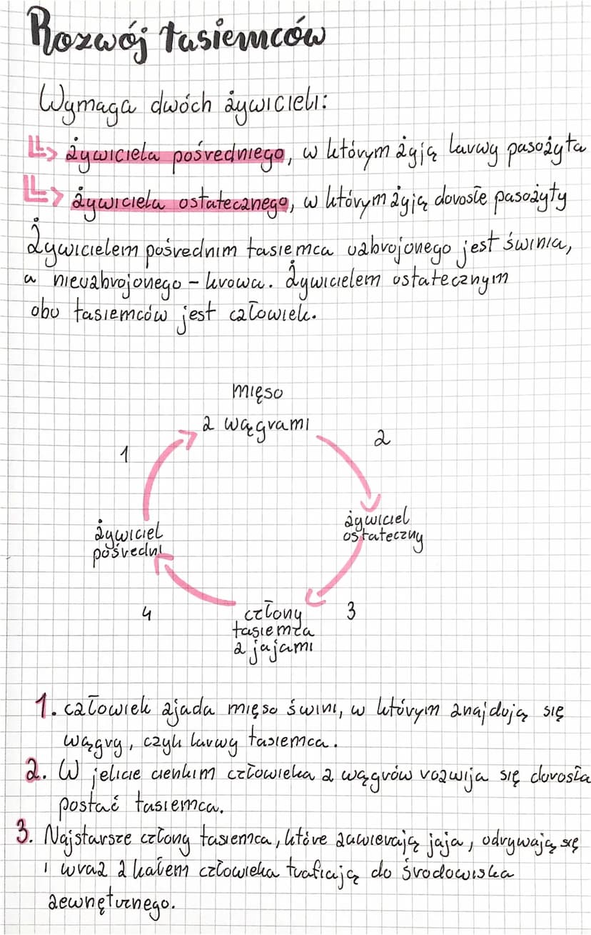 biologia
płazivice
Płazińce to awierzęta, któve veają zudwyday długie
i płaskie dato.
2decydowana większość płazińców to pasożyty,
ktove żyj