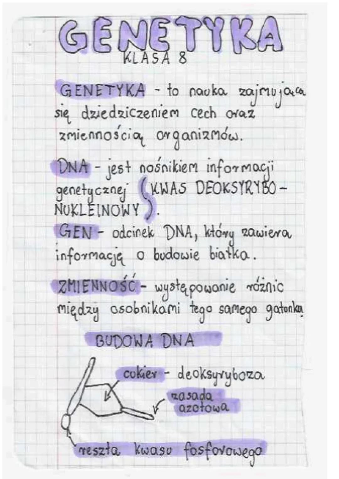 Podstawy genetyki dla klasy 8 – Przewodnik