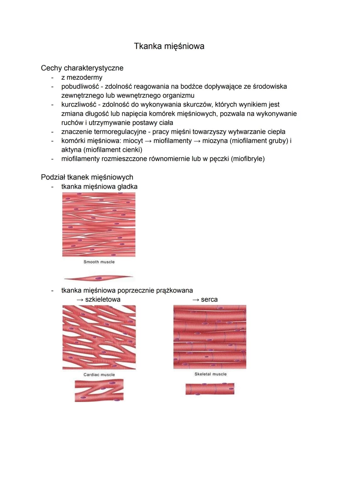 Cechy charakterystyczne
z mezodermy
pobudliwość - zdolność reagowania na bodźce dopływające ze środowiska
zewnętrznego lub wewnętrznego orga