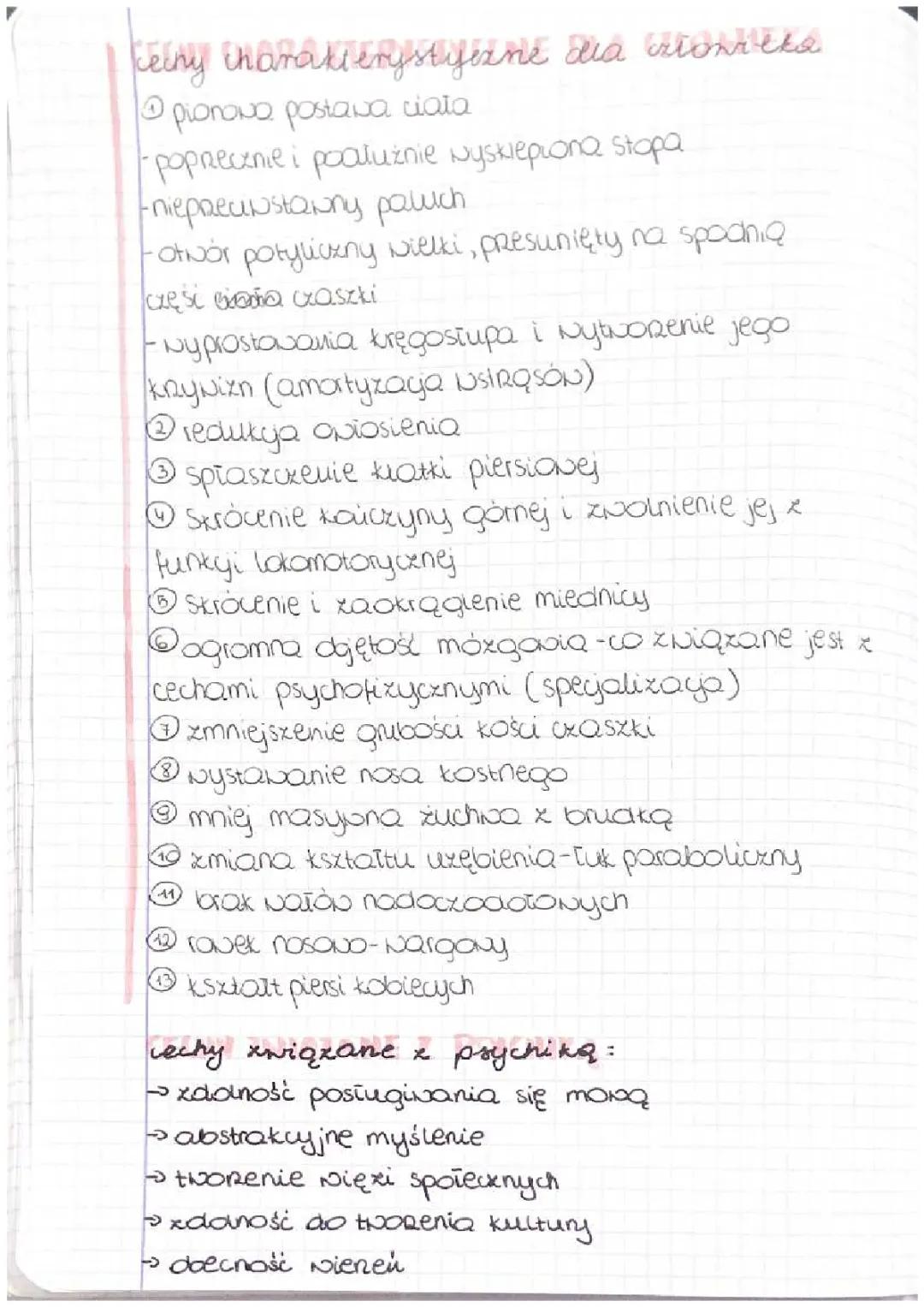 Ewolucja Człowieka: Antropogeneza Część 2