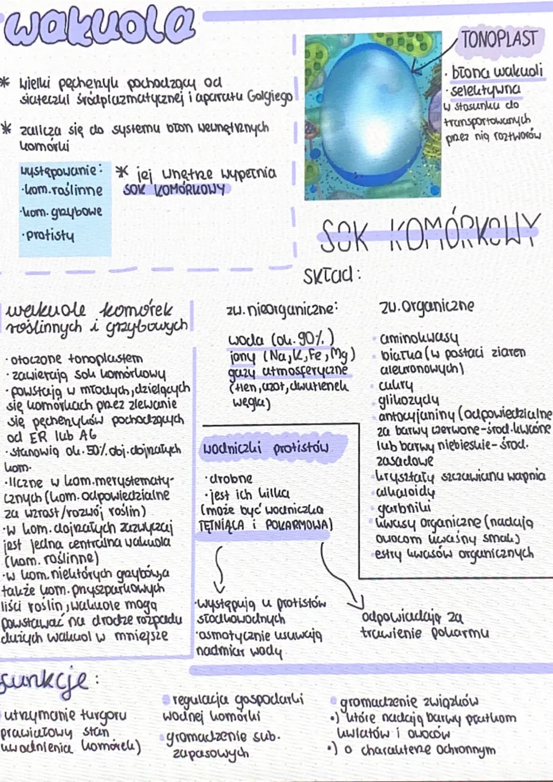 bosom
parat
olgiego
ua
aparat
Golgiego
perolsysam
loroplast
·Pesc
centrosom perousysom
Komórka roślinna
cytozal
20.
mitochondrium
mitochondr