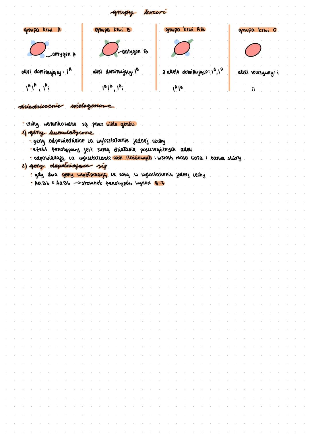 # Il prawo Hendl

Il prawo Mendila = prawo niezależnej segregacji cech cechy są dziedziczone niezależnie od siebie
prawo to działa tylko gdy