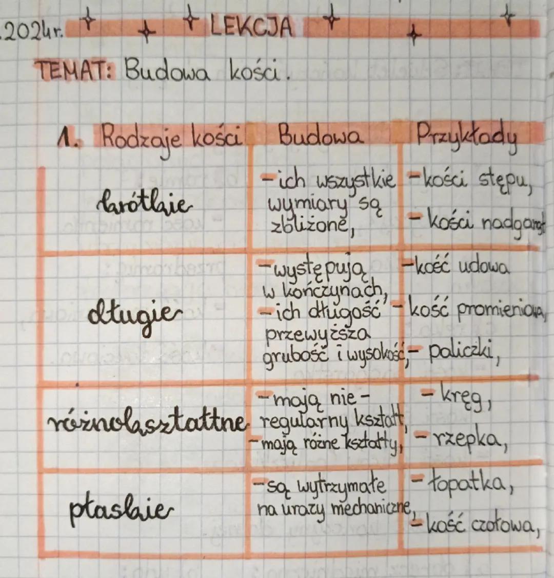 2024r.
++ LEKCJA
+
+
TEMAT: Budowa kości.
1. Rodzaje kości Budowa
Przykłady
larótkie
- ich wszystkie -kości stępu,
wymiary są
- kości nadgar