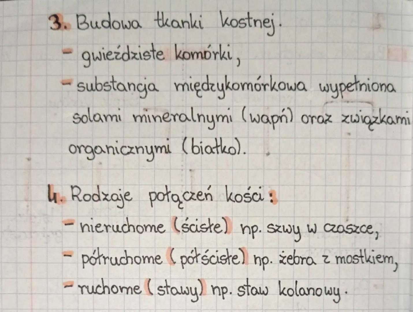 2024r.
++ LEKCJA
+
+
TEMAT: Budowa kości.
1. Rodzaje kości Budowa
Przykłady
larótkie
- ich wszystkie -kości stępu,
wymiary są
- kości nadgar