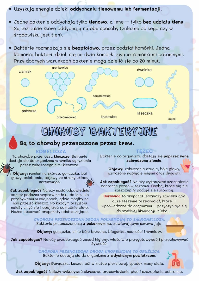 BAKTERIE, WIRUSY, PROTISTY
I GRZYBY
KLASYFIKACJA ORGANIZMÓW
Systematyka to dziedzina biologii, która zajmuje się opisywaniem,
klasyfikowanie