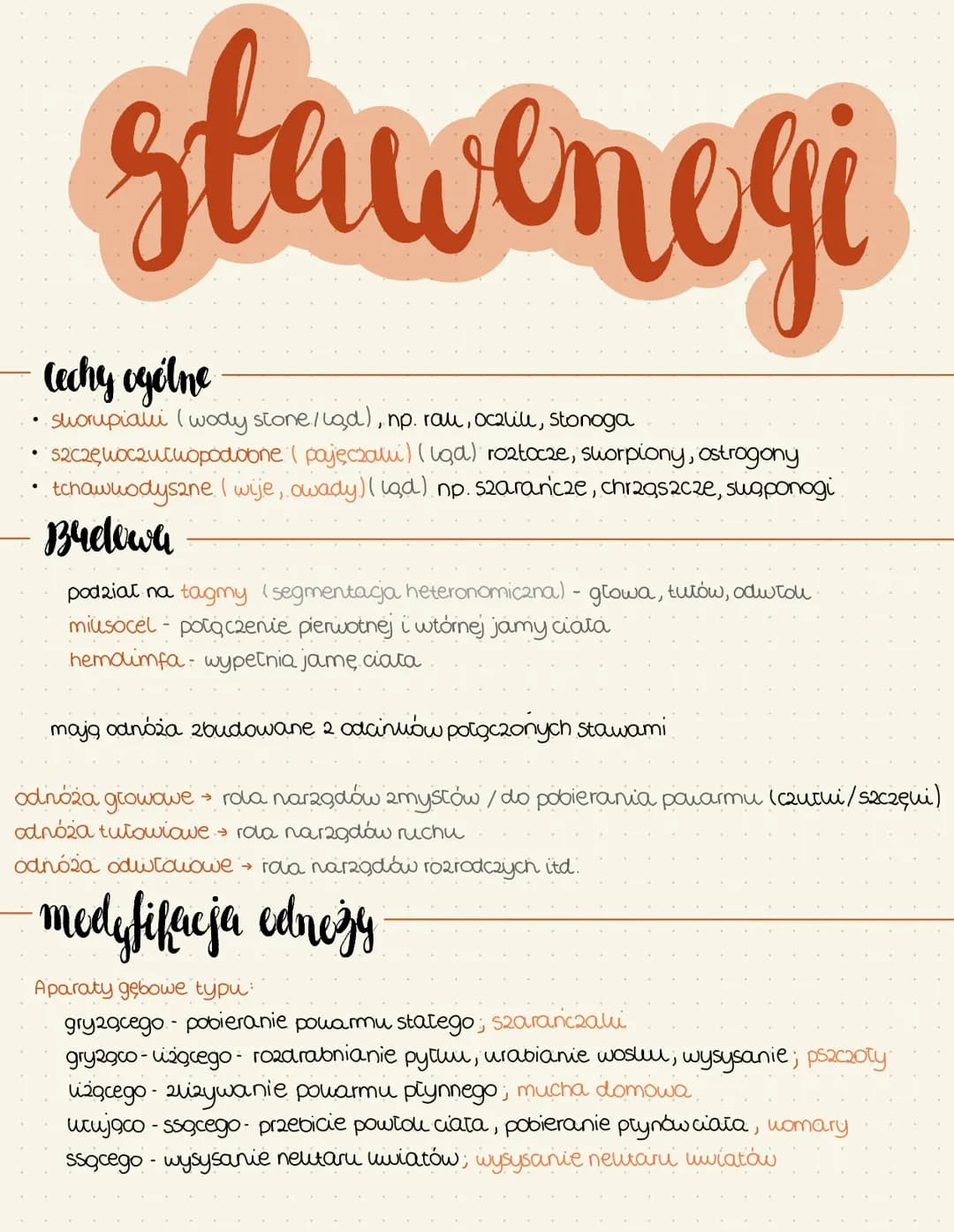 stawonogi
Cechy ogólne
suorupiahi (wody stone/ląd), np. rau, ocalili, stonoga
Szczę,woczułwopodvoone (pajęczawi) (uga) roztocze, slorpiony, 