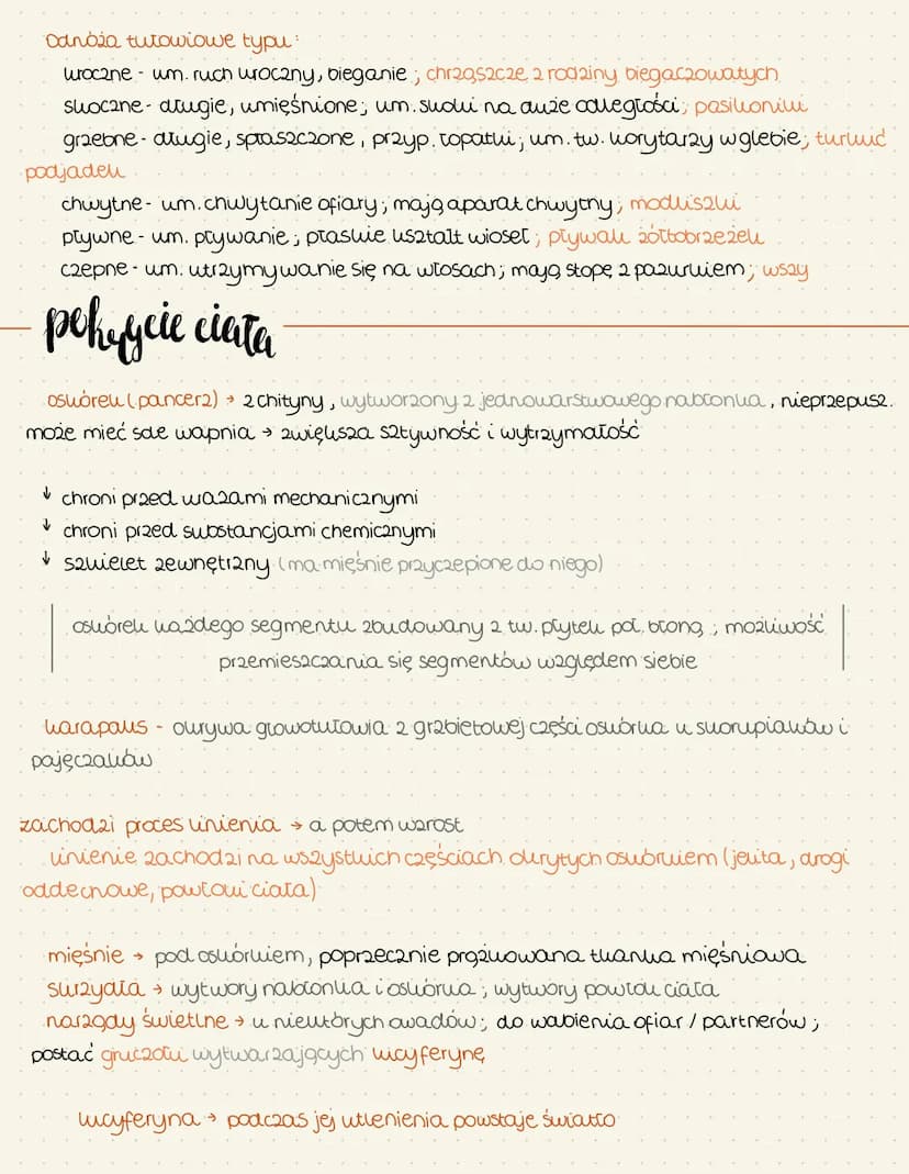 stawonogi
Cechy ogólne
suorupiahi (wody stone/ląd), np. rau, ocalili, stonoga
Szczę,woczułwopodvoone (pajęczawi) (uga) roztocze, slorpiony, 