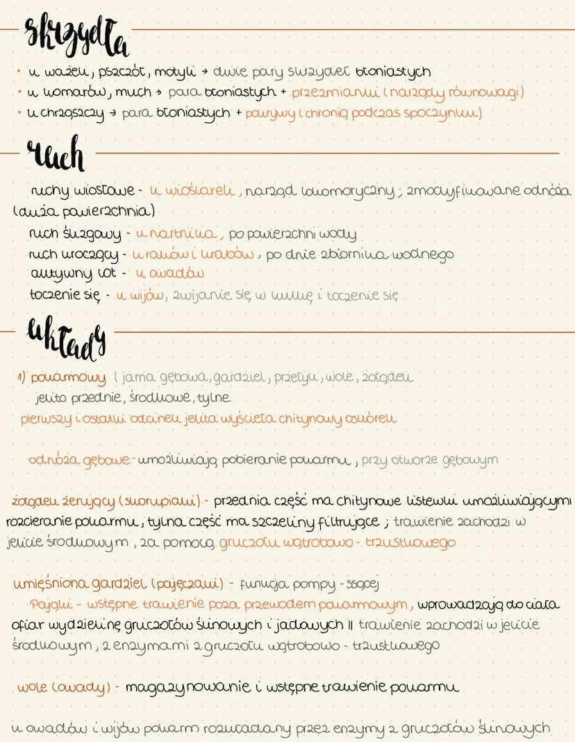 stawonogi
Cechy ogólne
suorupiahi (wody stone/ląd), np. rau, ocalili, stonoga
Szczę,woczułwopodvoone (pajęczawi) (uga) roztocze, slorpiony, 