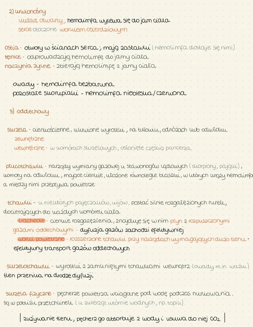 stawonogi
Cechy ogólne
suorupiahi (wody stone/ląd), np. rau, ocalili, stonoga
Szczę,woczułwopodvoone (pajęczawi) (uga) roztocze, slorpiony, 