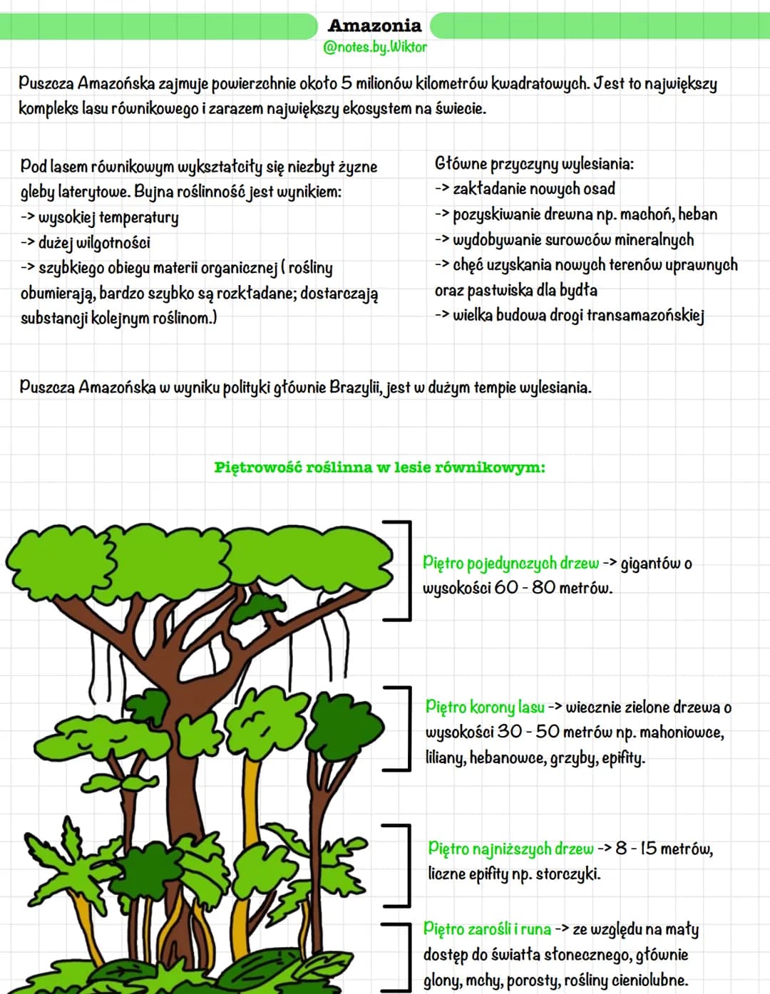 Amazonia
@notes.by.Wiktor
Puszcza Amazońska zajmuje powierzchnie około 5 milionów kilometrów kwadratowych. Jest to największy
kompleks lasu 