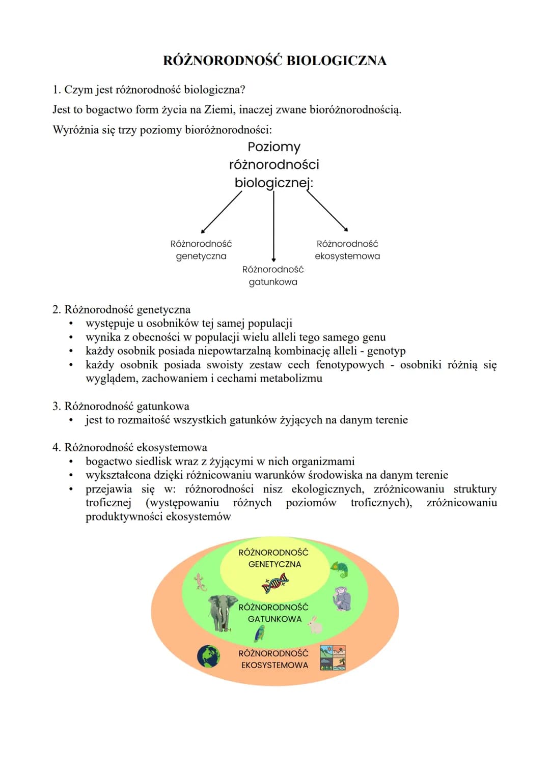 1. Czym jest różnorodność biologiczna?
Jest to bogactwo form życia na Ziemi, inaczej zwane bioróżnorodnością.
Wyróżnia się trzy poziomy bior