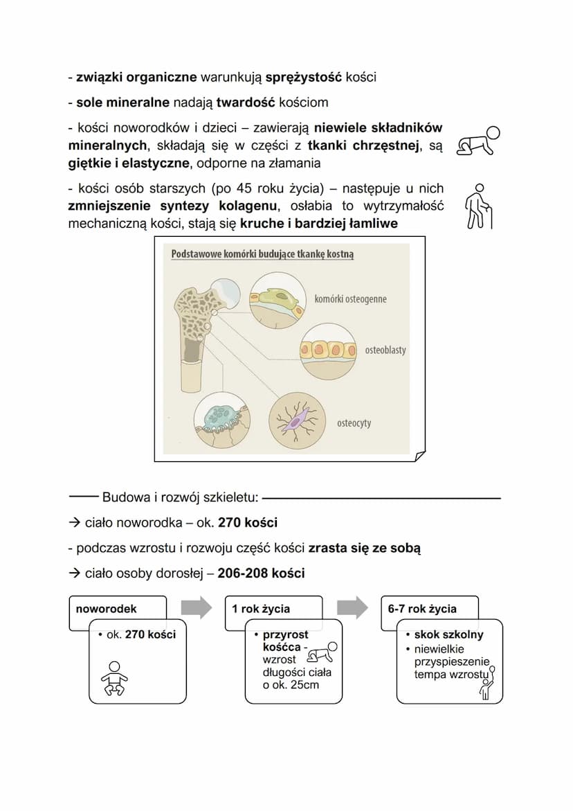 Budowa i funkcje szkieletu
ruch odbywa się za pomocą współpracy szkieletu i mięśni
szkieletowych, razem określanych układem ruchu, szkielet 