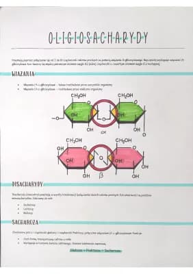 Know Oligosacharydy thumbnail