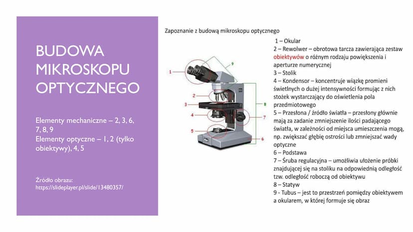 BADANIA
PRZYRODNICZE METODYKA BADAN BIOLOGICZNYCH
TEMAT I Doświadczenie
- metoda
badawcza,
podczas której
Obserwacja
- brak wpływu
badacza n