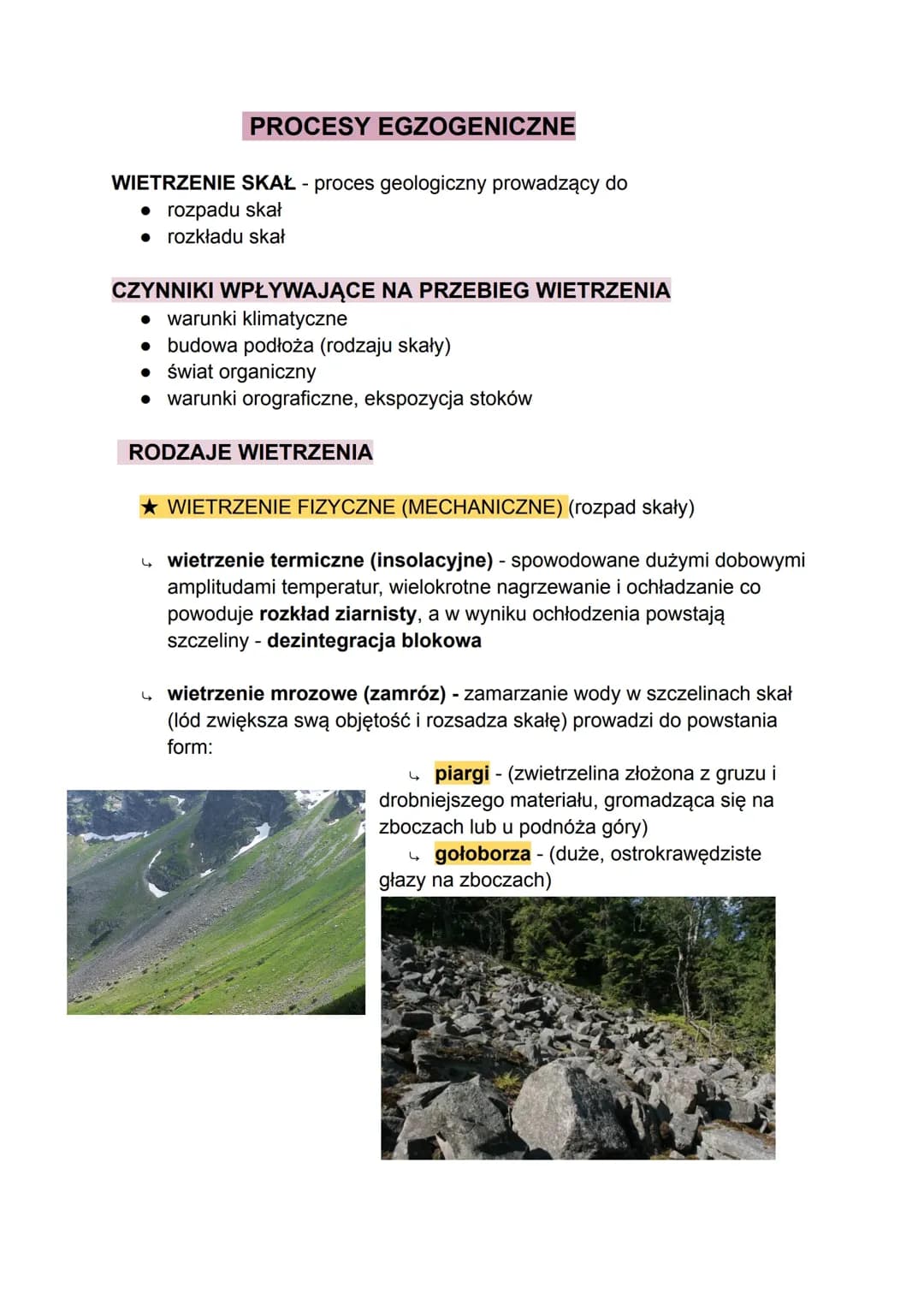 PROCESY ENZOGENICZNE CZ.1 