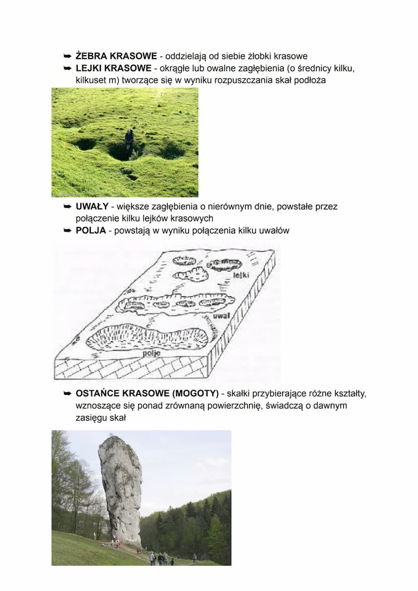 PROCESY EGZOGENICZNE
WIETRZENIE SKAŁ - proces geologiczny prowadzący do
• rozpadu skał
rozkładu skał
CZYNNIKI WPŁYWAJĄCE NA PRZEBIEG WIETRZE