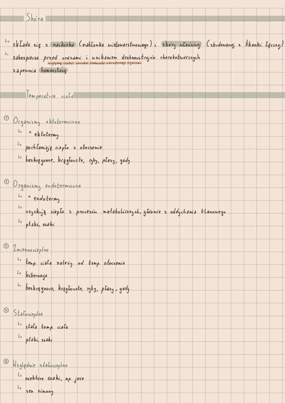 Kręgowce
Cechy kregamasis
L₂
L₂
L₂
L₂
دا
L₂
2)
trzy zasadnicze części: głowa, tułów i ogon;
niektórych gatunków szyja
przedni odcinek cenki 