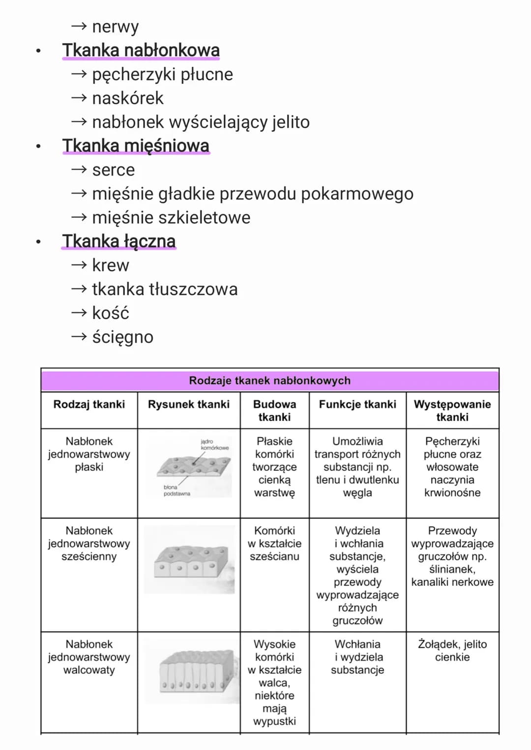 1. Organizm człowieka jako
funkcjonalna całość
1.1. Hierarchiczna budowa organizmu
człowieka
Budowa organizmu:
komórki → tkanki → narządy → 