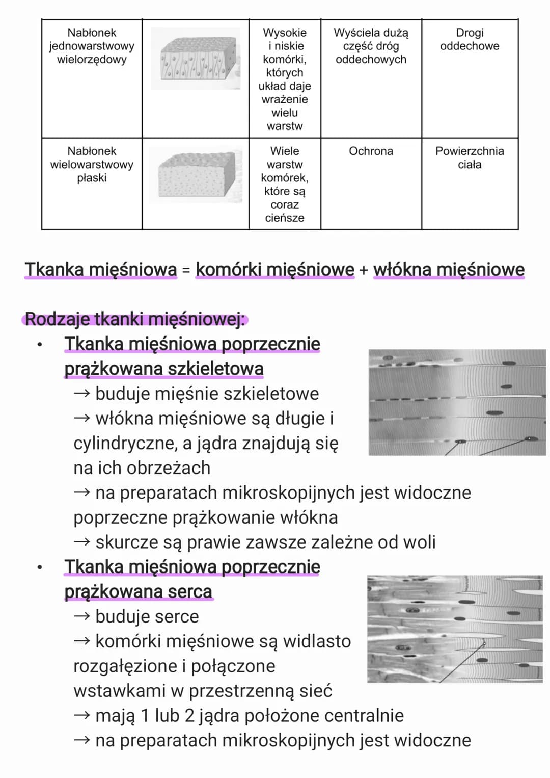 1. Organizm człowieka jako
funkcjonalna całość
1.1. Hierarchiczna budowa organizmu
człowieka
Budowa organizmu:
komórki → tkanki → narządy → 