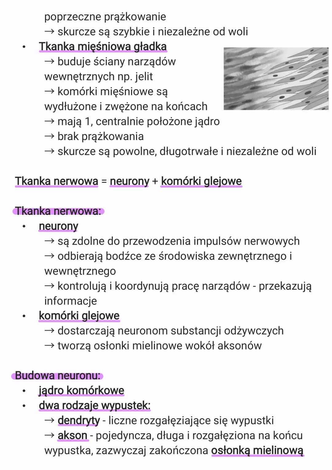 1. Organizm człowieka jako
funkcjonalna całość
1.1. Hierarchiczna budowa organizmu
człowieka
Budowa organizmu:
komórki → tkanki → narządy → 