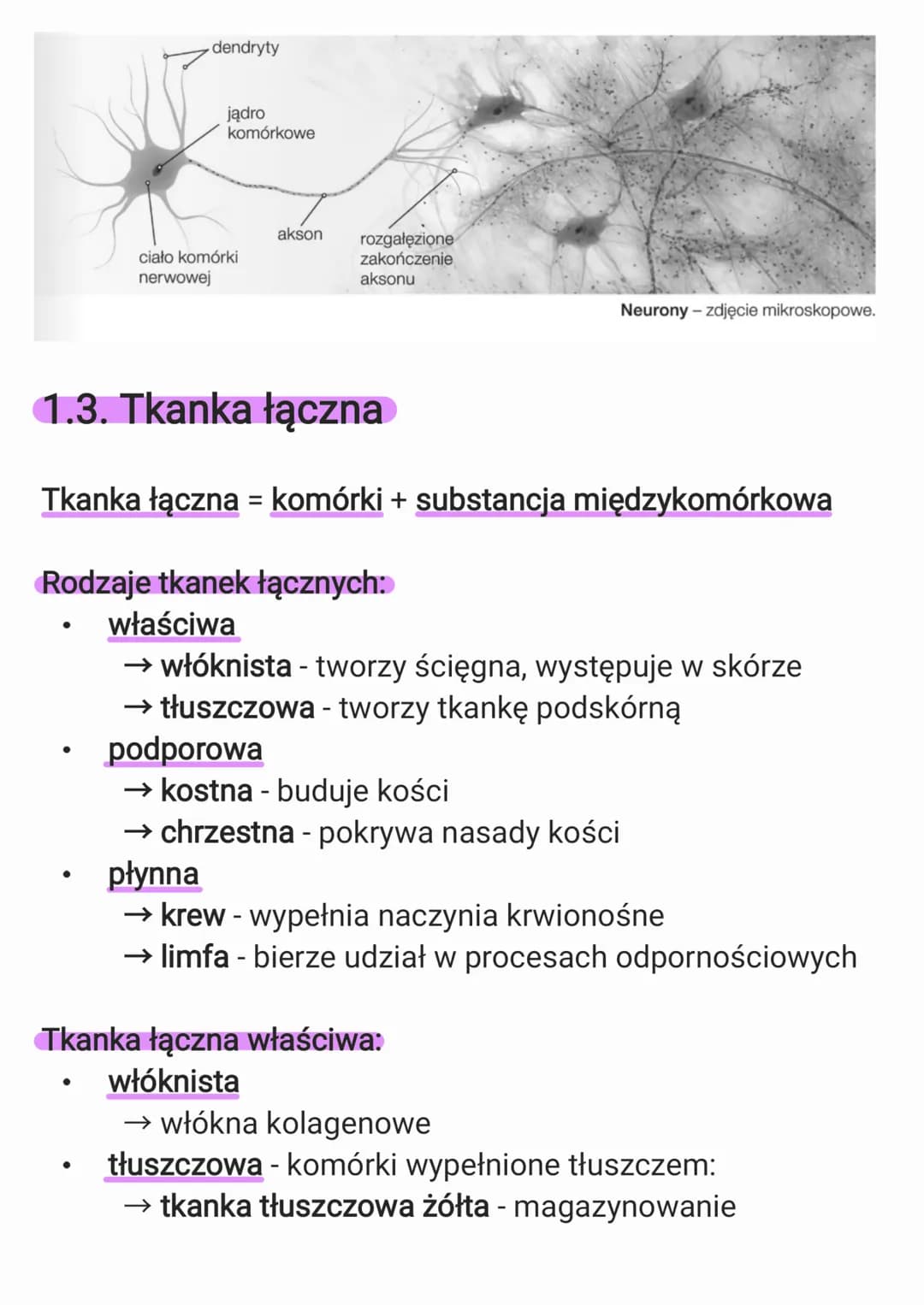 1. Organizm człowieka jako
funkcjonalna całość
1.1. Hierarchiczna budowa organizmu
człowieka
Budowa organizmu:
komórki → tkanki → narządy → 