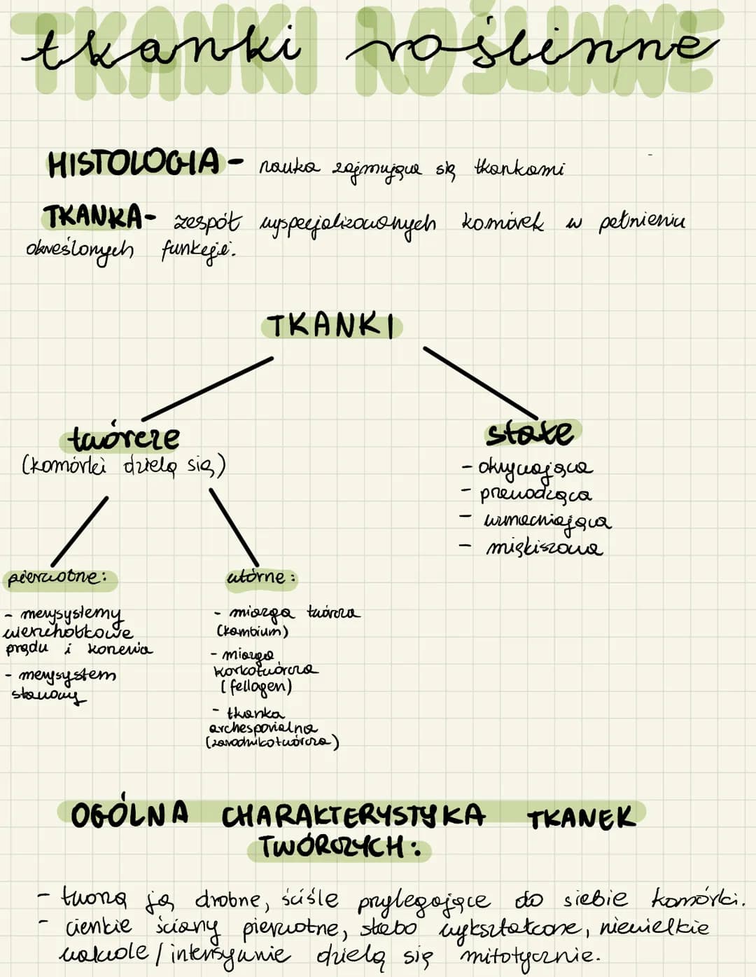 
<h2 id="merystemypierwotneiwtrne">Merystemy pierwotne i wtórne</h2>
<p>Merystemy pierwotne i wtórne są esencjonalne w procesie wzrostu rośl