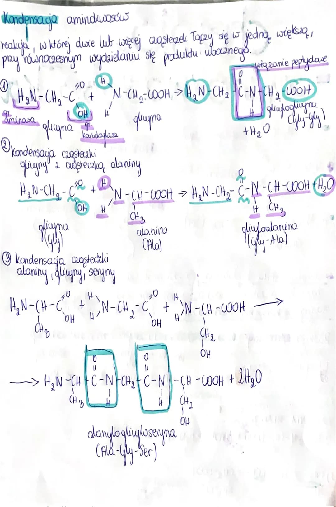 @H₂N-CH₂-C²O
H₂N-CH-C²
CH ₂ OH
•H₂N-CH-C²% seryna. (Ser)
сна-он
OH
OH
glicyna (yly)
alanina (Ala)
enizona
y
słodki
=substancja stała krystal