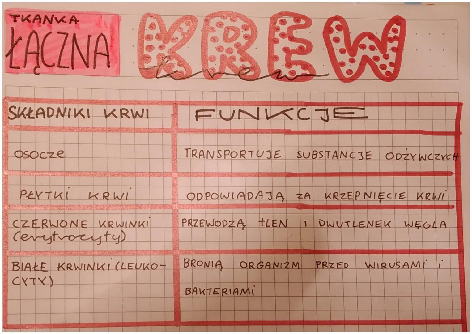 TKANKA
ŁĄCZNA
Tkanka łączna składa się
z komóvek ovaz Substancji
między komorkowej
Istnieje kilka vodzajów thoinki
Tapznej, między innymi
•T