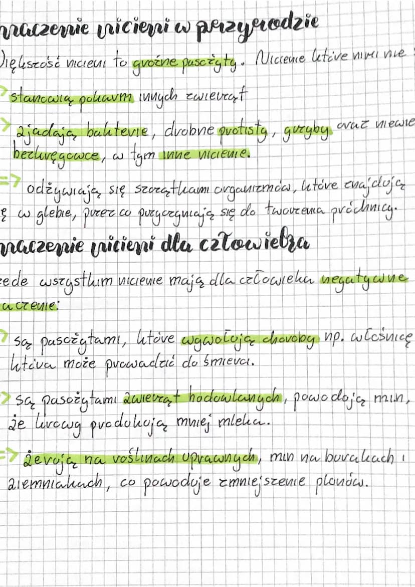 Nicienie
Są to awierzęta w większośa pasożytnicze. Ich ciało
jest wydłużone I puzypomina nić. Stąd pochodzi
tych zwierząt.
Gdzie żyją?
Nicie