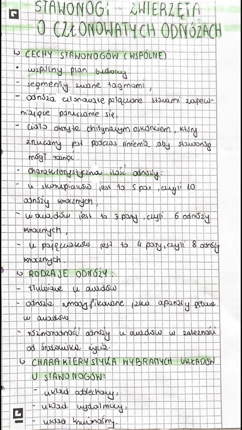skorl
раки
ukiad
oddermany
sknela
ourdy tchours
polpuaki
pluwtchawki
الصحة
jaja
Uklad 17-19
uydalmazy
krwionaing
gricioły swipkate orwerby 2