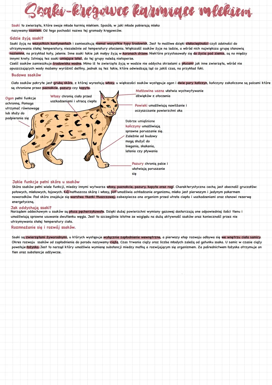 Seaki-kregowce karmique mlekiem
Ssaki to zwierzęta, które swoje młode karmiq mlekiem. Sposób, w jaki młode pobierają mleko
nazywamy ssaniem.