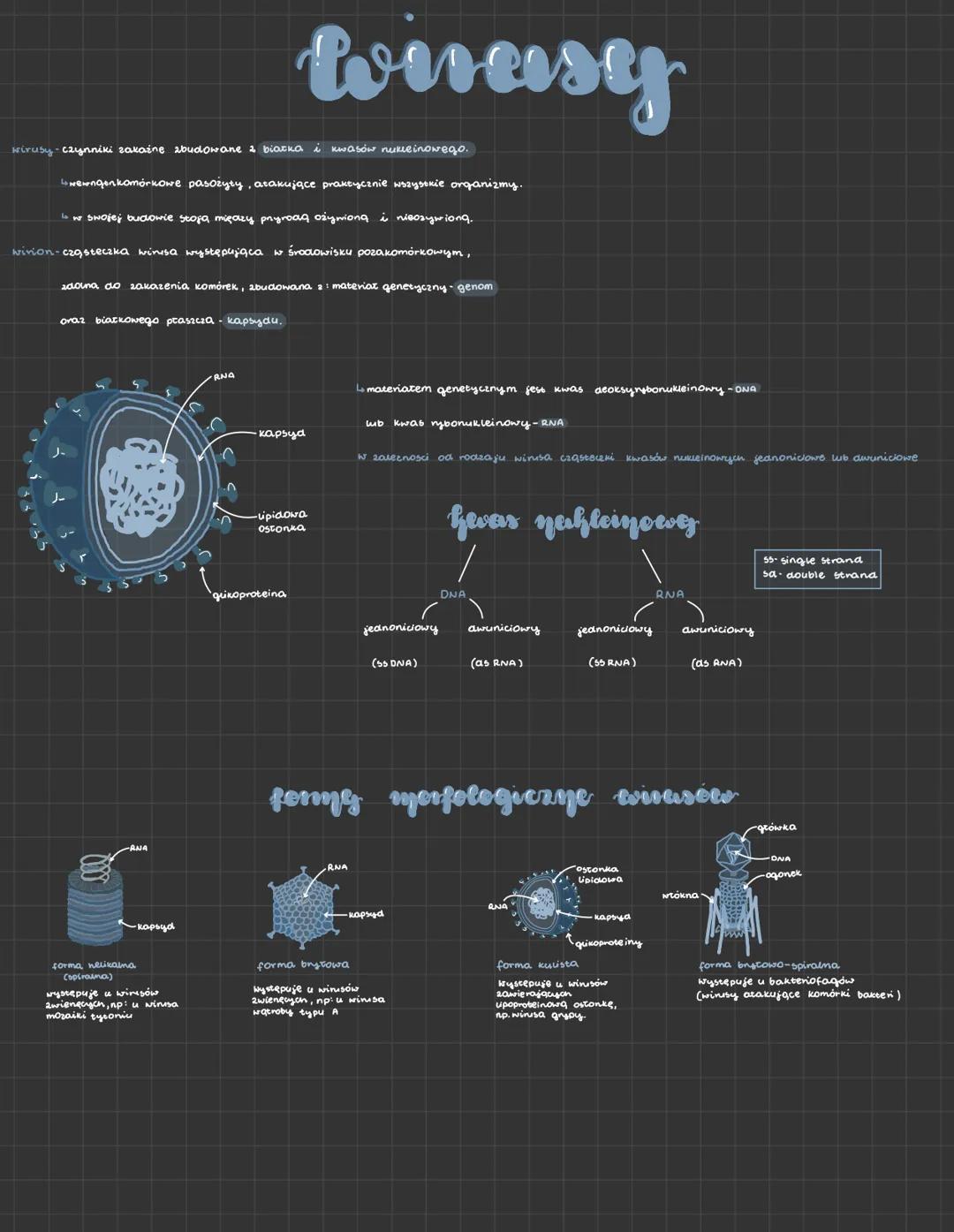 wivasy

wirusy czynniki zakażne zbudowane & biarka i kwasów nukleinowego.

wewngenkomórkowe pasożyty, atakujące praktycznie wszysokie organi