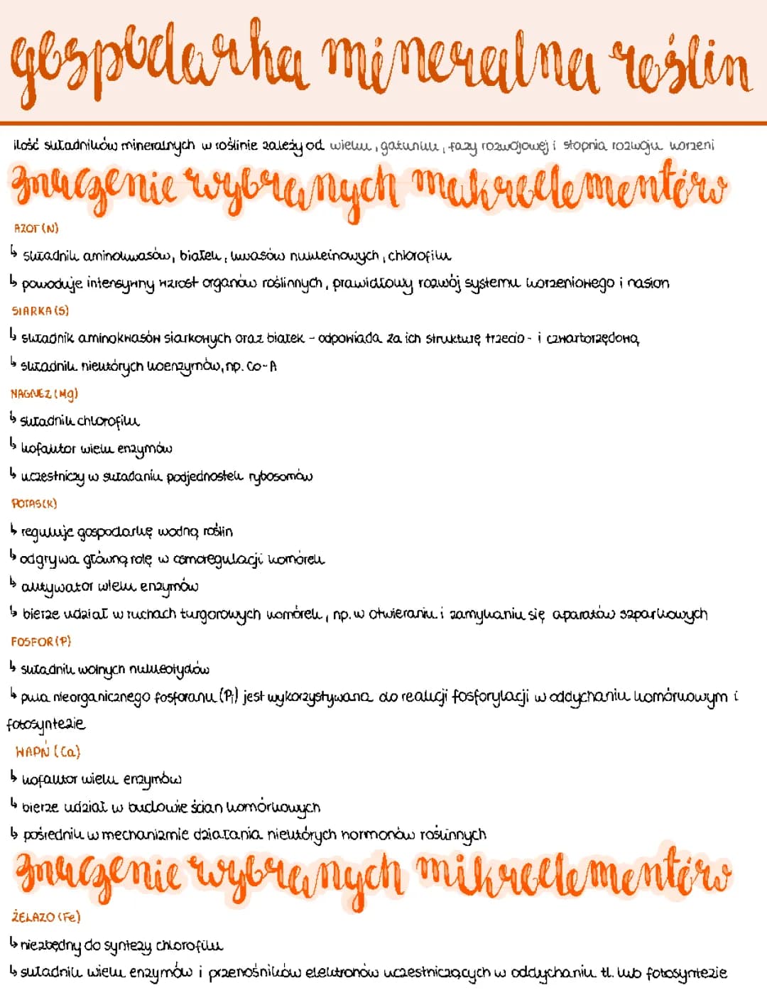 Gospodarka mineralna roślin