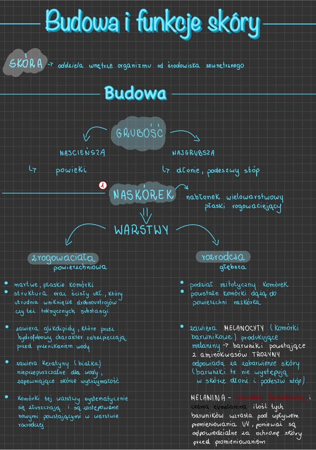 Budowa i funkcje skóry
SKORA - oddziela wnętrze organizmu od środowiska zewnętrznego
Budowa
5
NAJCIEŃSZA
powieki
GRUBOSC
NASKOREK
⇓
WARSTWY
